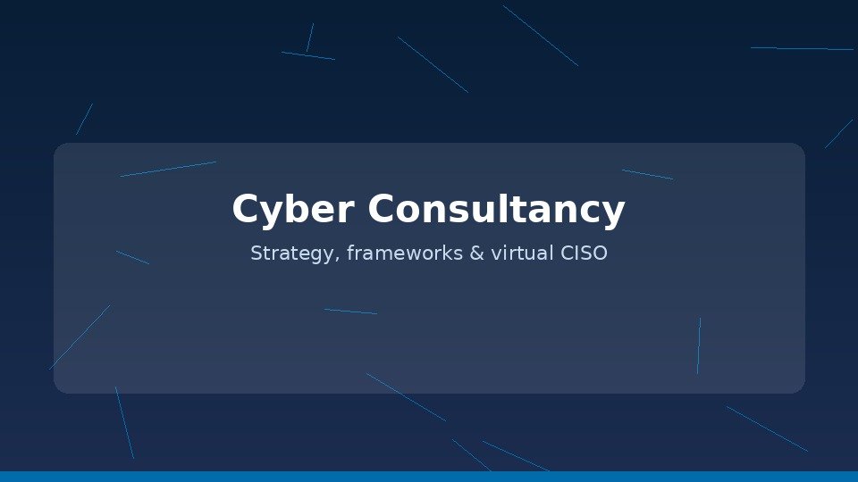 Cyber security consultancy session